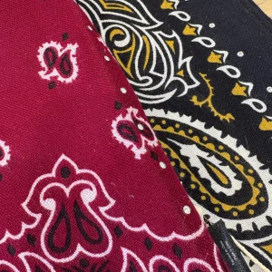 WILD-MINI FOULARD PAISLEY